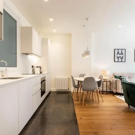 Luxury Guggenheim Museum Apartment Bilbao